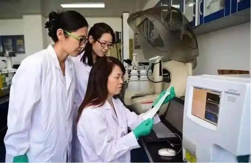 深挖 | “西北大学副校长范代娣成陕西首富”系乌龙<strong></p>
<p>钙片</strong>，但她的人生如同开挂