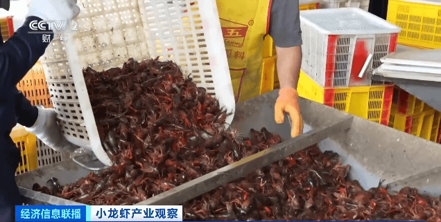 价格暴跌近50%<strong></p>
<p>青铜器</strong>！“接下来还会降”！青岛正大量上市……