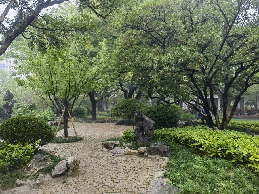 紧急提醒：瞬间爆发！上海市民崩溃：密密麻麻<strong></p>
<p>瓷器</strong>，蠕蠕爬行...“梧桐区”已开始战斗，白蚁或提前分飞