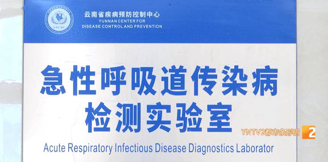 新冠又抬头<strong></p>
<p>刺绣</strong>？云南省情况如何？云南疾控发布提醒