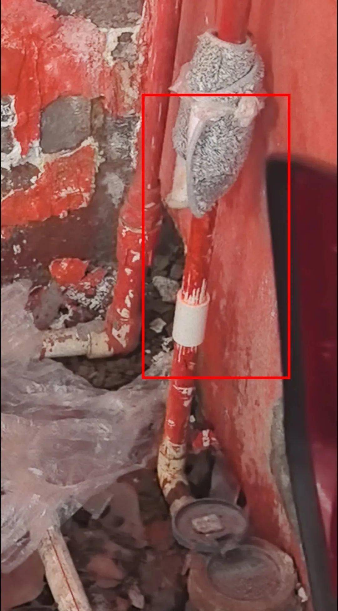 侄女与姑姑争祖父留下的门面<strong></p>
<p>sks</strong>，长沙租客“躺枪”：我被打了，店也被锁了！