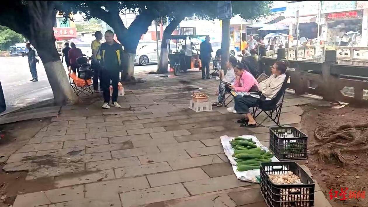 “天价”鸡枞调查：最贵卖到1800元/公斤！雨水少致产量低<strong></p>
<p>ada</strong>，多地价高客少