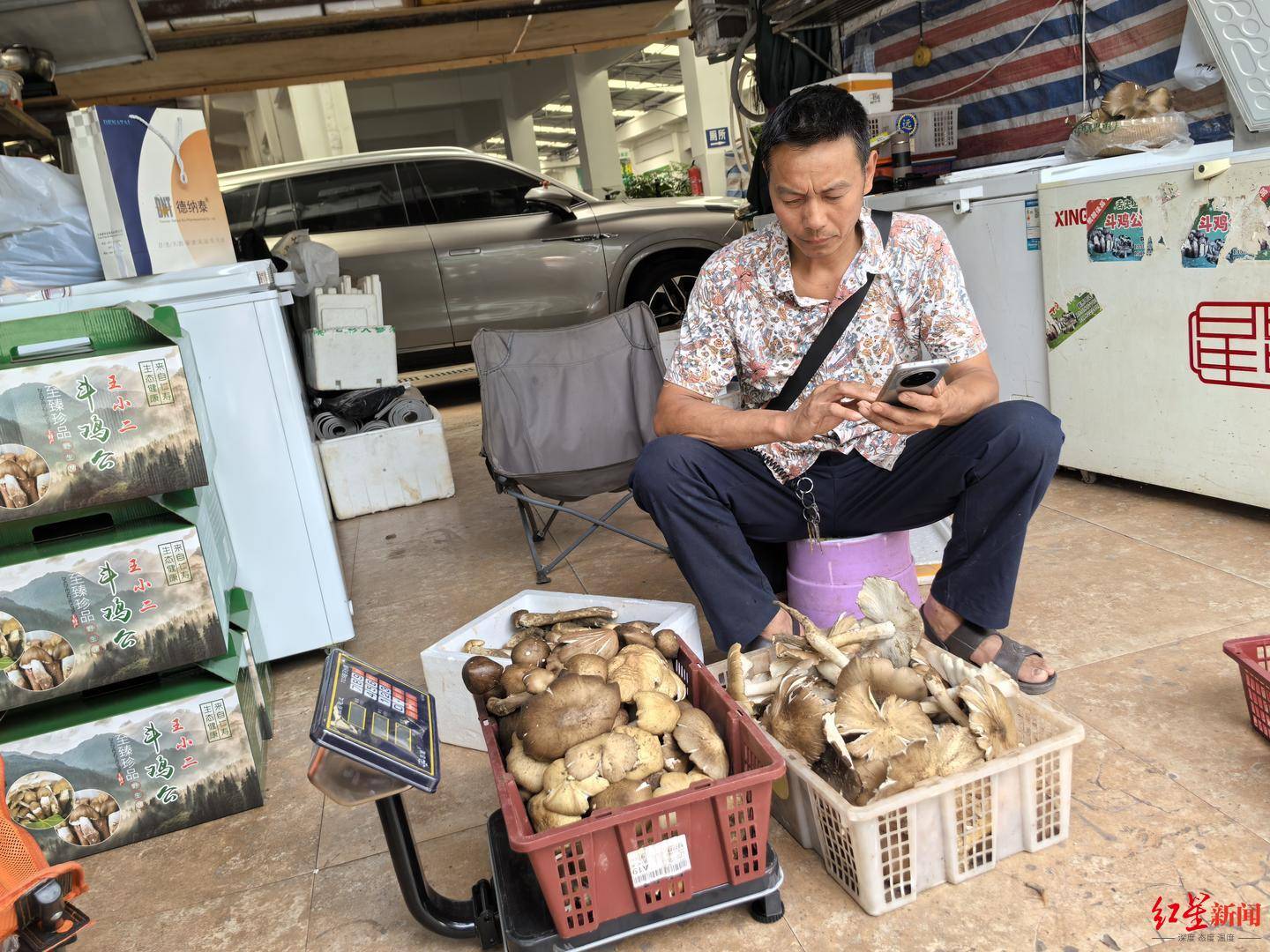 “天价”鸡枞调查：最贵卖到1800元/公斤！雨水少致产量低<strong></p>
<p>ada</strong>，多地价高客少