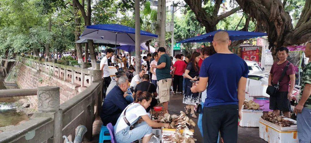 “天价”鸡枞调查：最贵卖到1800元/公斤！雨水少致产量低<strong></p>
<p>ada</strong>，多地价高客少