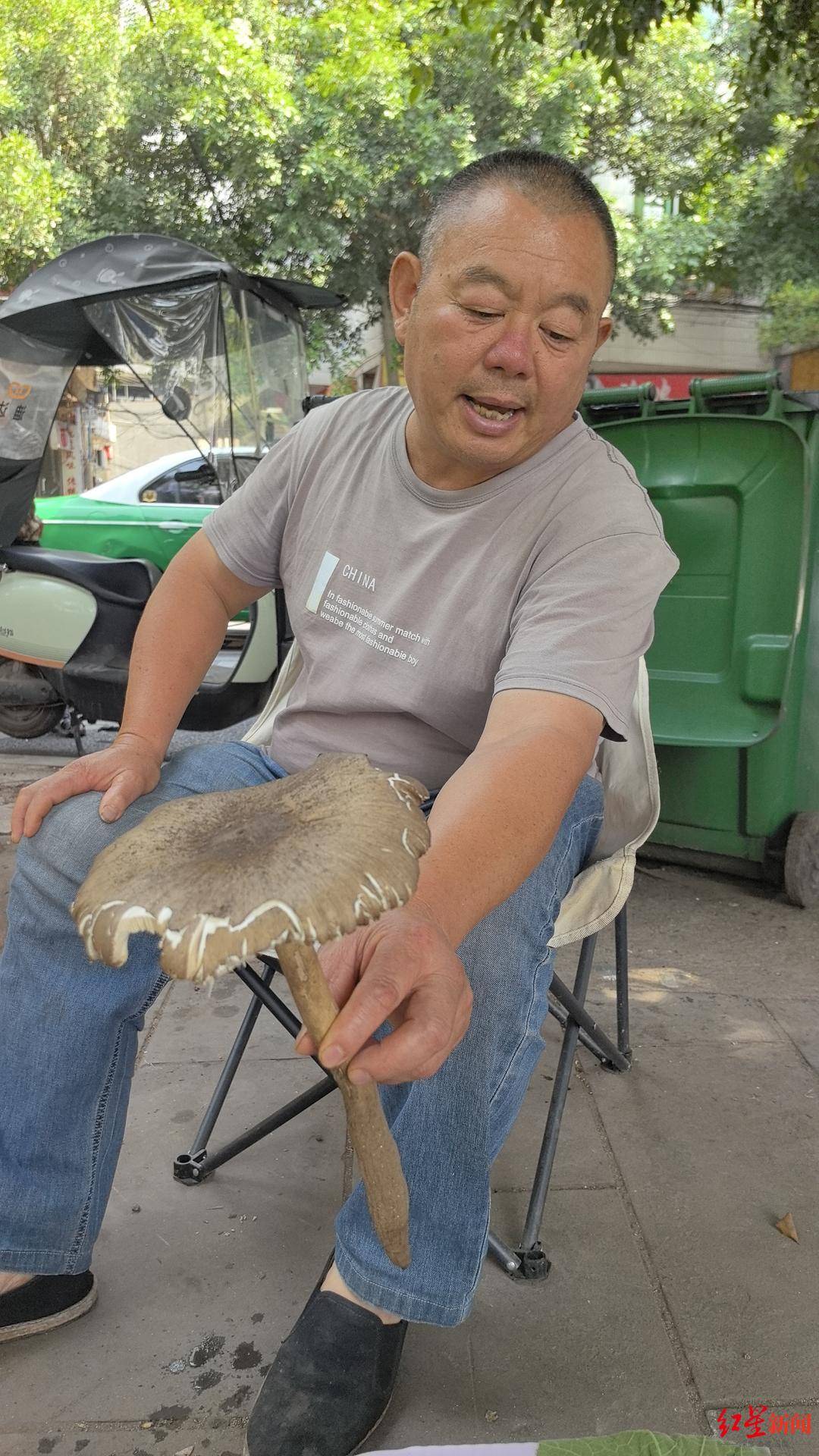 “天价”鸡枞调查：最贵卖到1800元/公斤！雨水少致产量低<strong></p>
<p>ada</strong>，多地价高客少