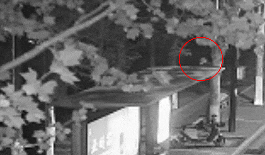 江苏一男子戴仿真“人皮”面具入室盗窃<strong></p>
<p>ada</strong>,流窜多个小区作案,涉案金额达15万余元