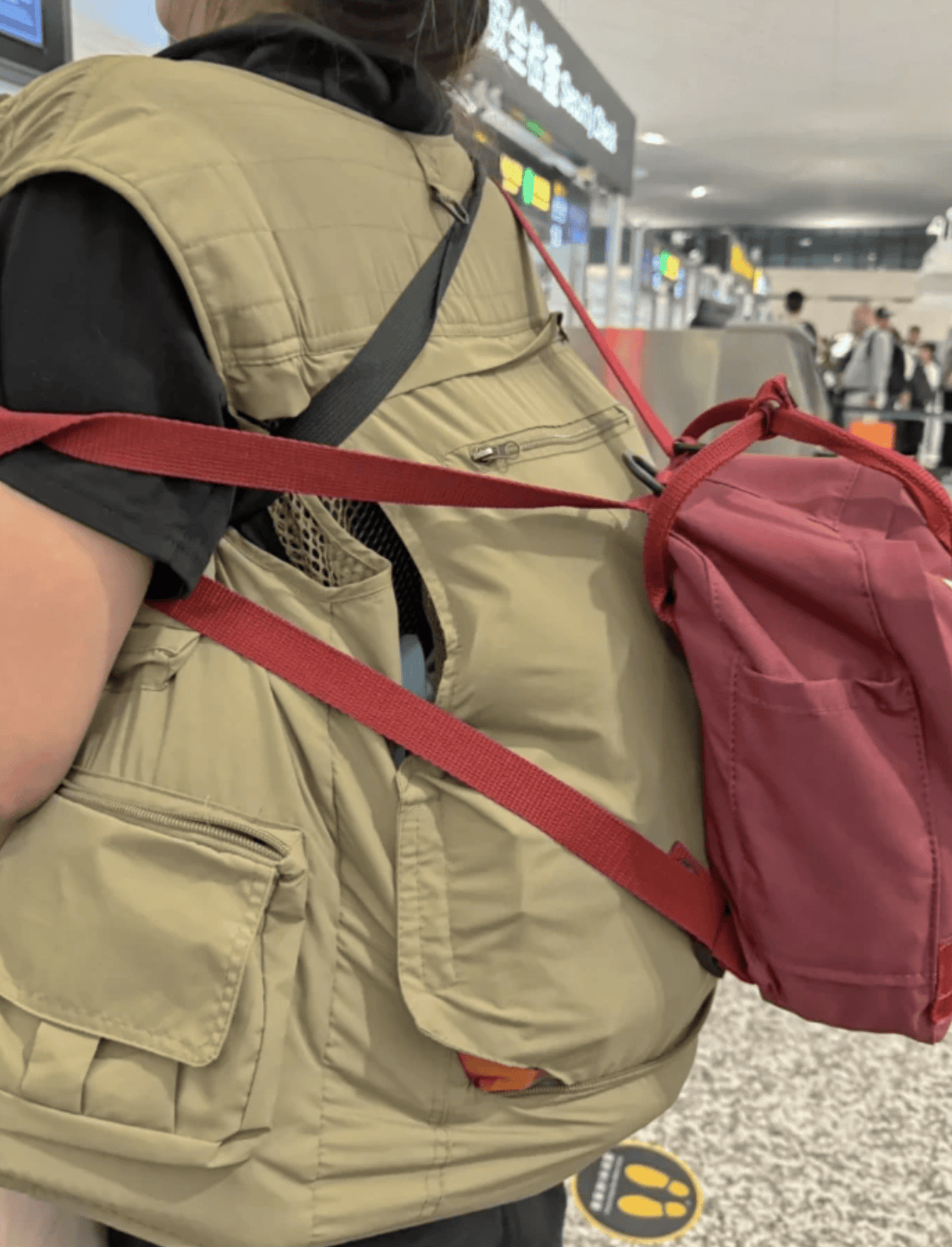 “坐飞机发现旁边放着冷链海鲜”<strong></p>
<p>ada</strong>，航空公司兼职送货给出差人整破防了