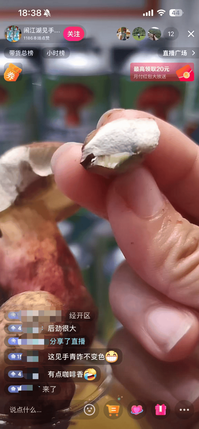 10万瓶一周抢售一空!云南“见手青啤酒”卖疯<strong></p>
<p>ada</strong>,背后代工厂竟欠债400万?