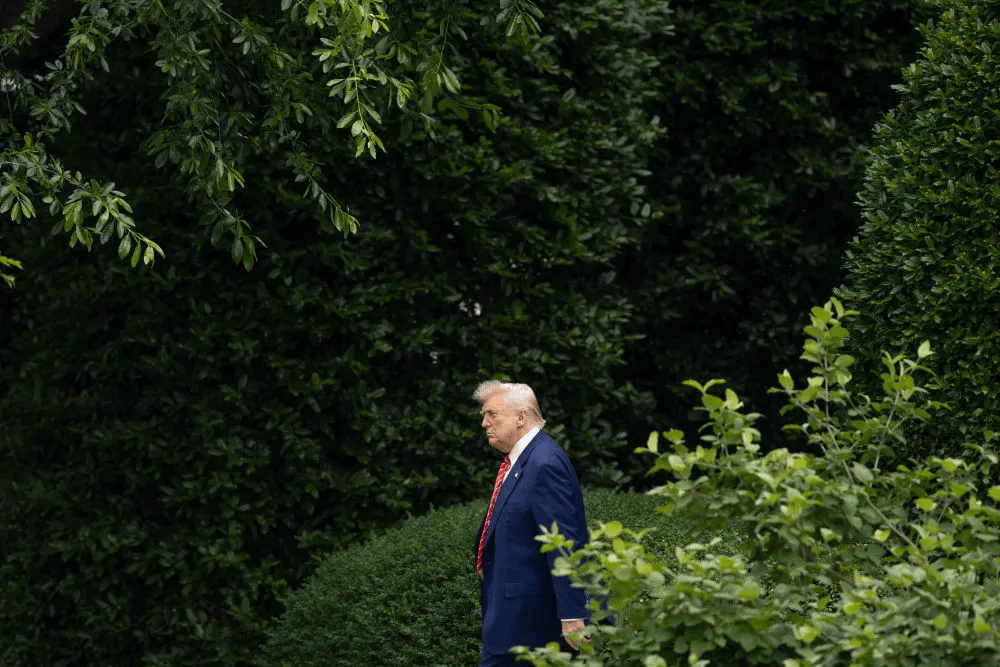 欧盟加拿大：强烈遗憾！强烈反对！