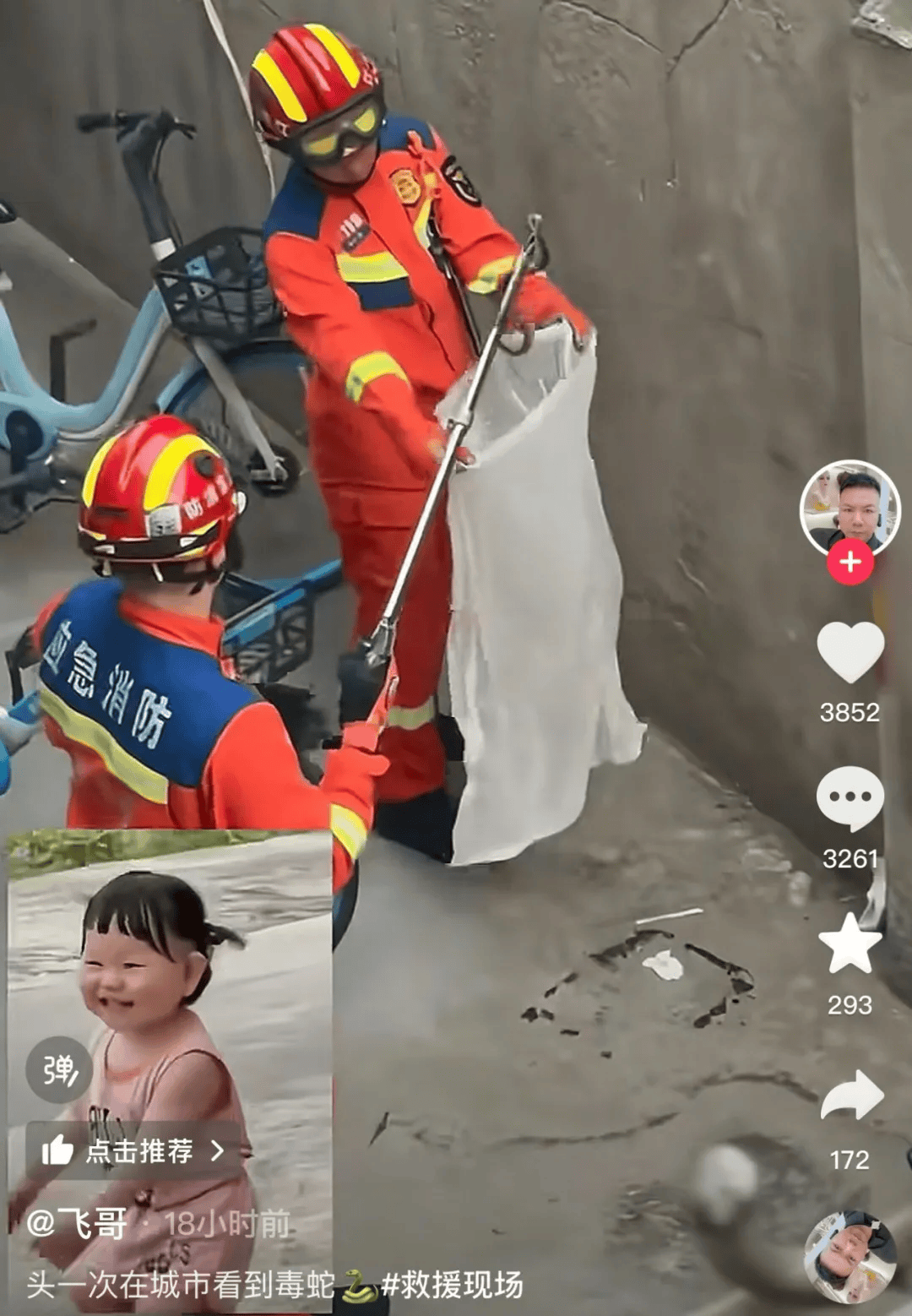 无锡市中心发现毒蛇？消防出动！医生紧急提醒！