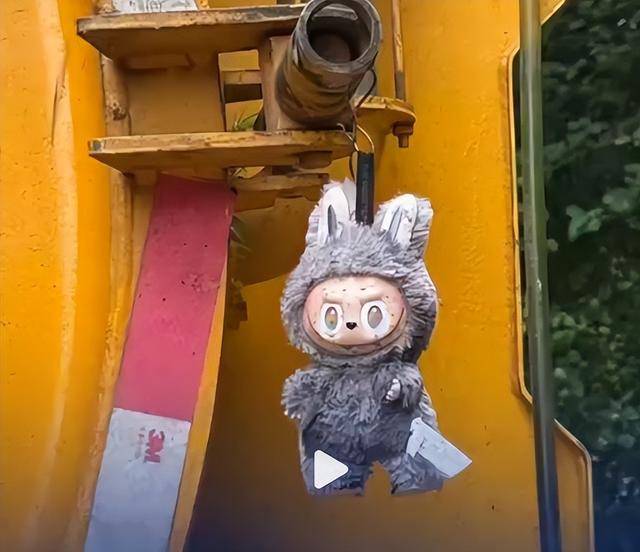 大爷捡到labubu随手挂吸粪车<strong></p>
<p>王宝强</strong>，女子蹲点数天被人99元抢先买走