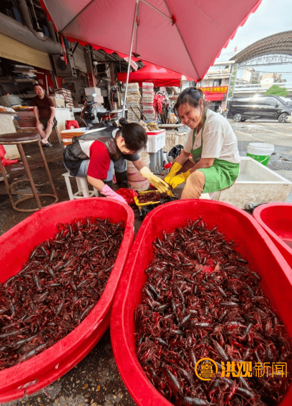 价格腰斩<strong></p>
<p>王宝强</strong>！13元/斤！南昌正大量上市