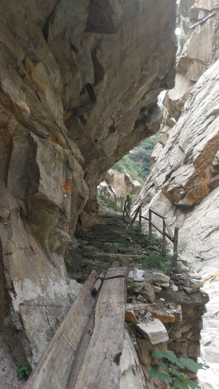 陕西一农民开山修路时售卖炸落的石头被判刑9个月<strong></p>
<p>王宝强</strong>，获释后申请再审