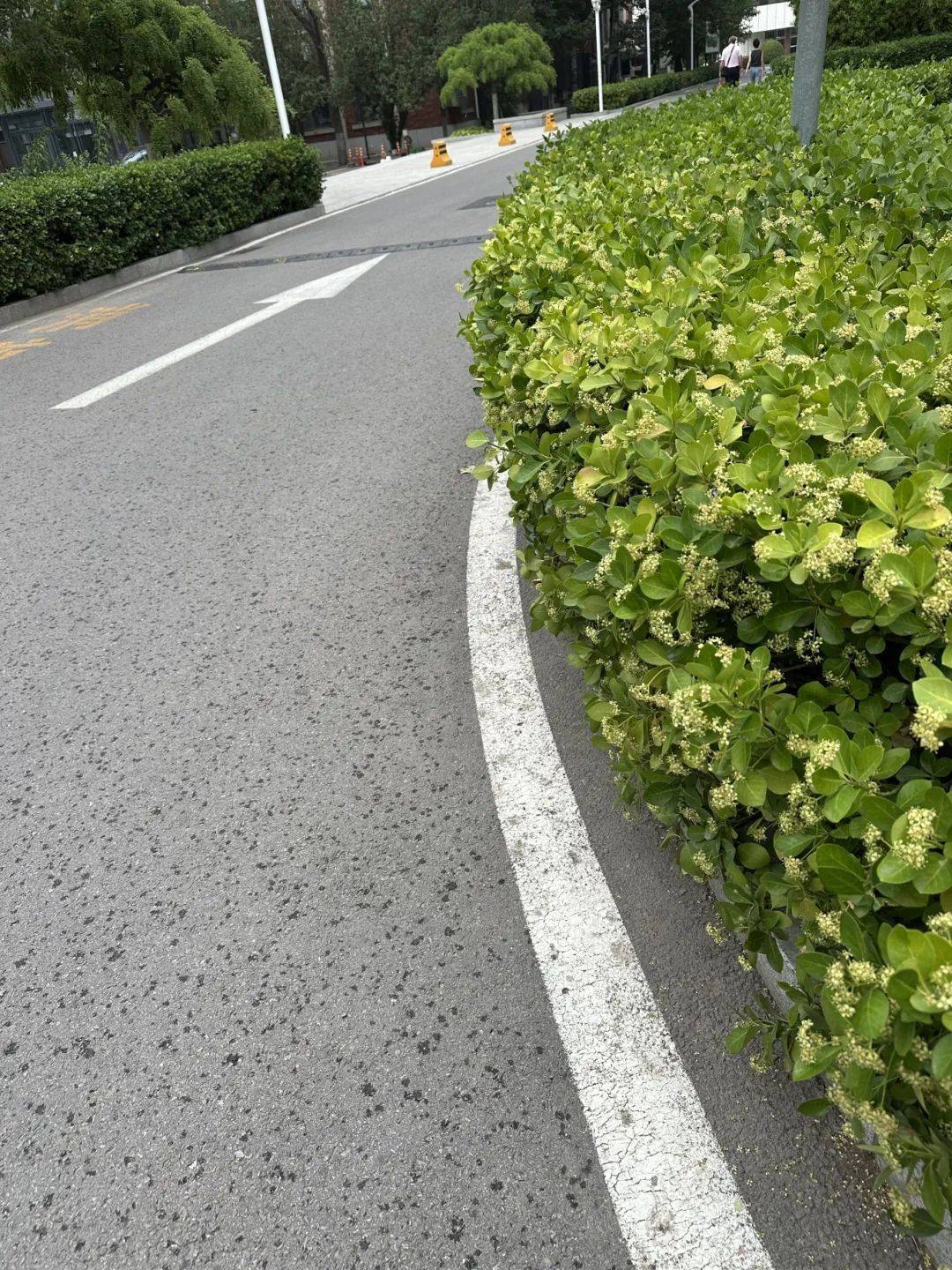 下雨了<strong></p>
<p>商行</strong>！天津接下来十天都是……