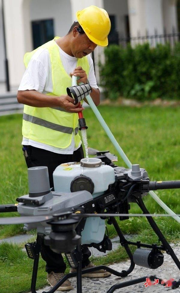 装上“淋浴”每天“冲凉”<strong></p>
<p>okb</strong>，540余岁“汉阳树”被悉心照料