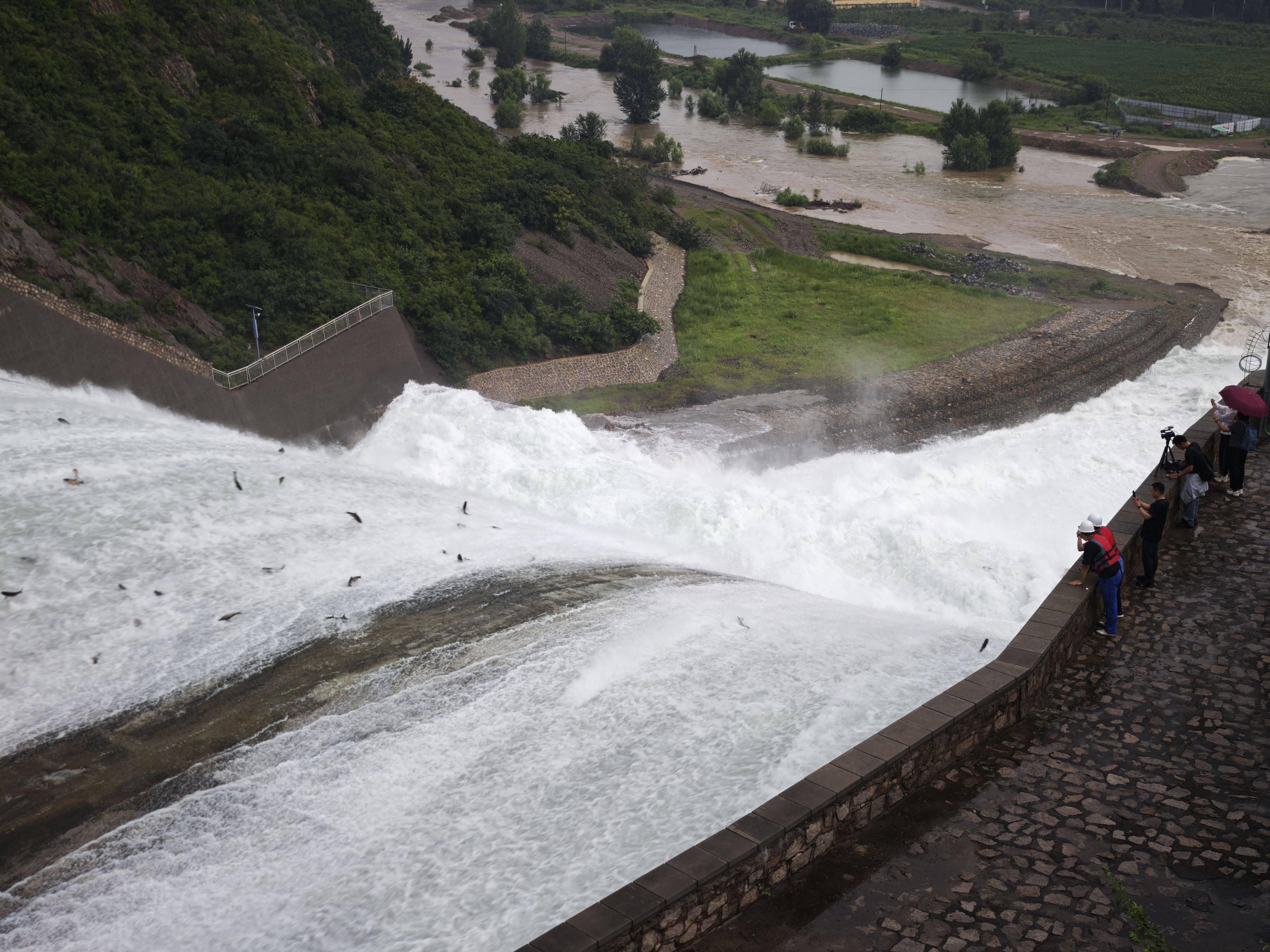 密云水库开闸泄流<strong></p>
<p>okb行情</strong>,大量“水质卫士”鲢鳙顺流而下