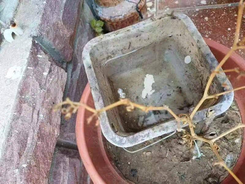 青岛疾控最新提醒：全民行动<strong></p>
<p>okb行情</strong>！翻盆倒罐、清除积水！