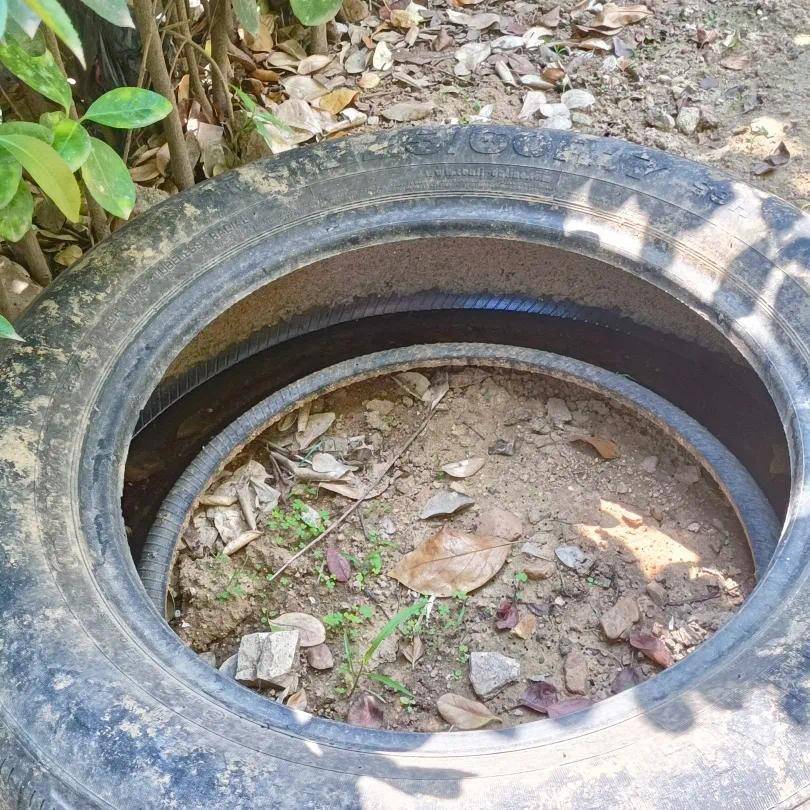 青岛疾控最新提醒：全民行动<strong></p>
<p>okb行情</strong>！翻盆倒罐、清除积水！