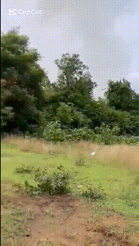 又炸了！泰国F-16越炸越凶<strong></p>
<p>okb官网</strong>，中国远火开打，最终还是柬埔寨失算了