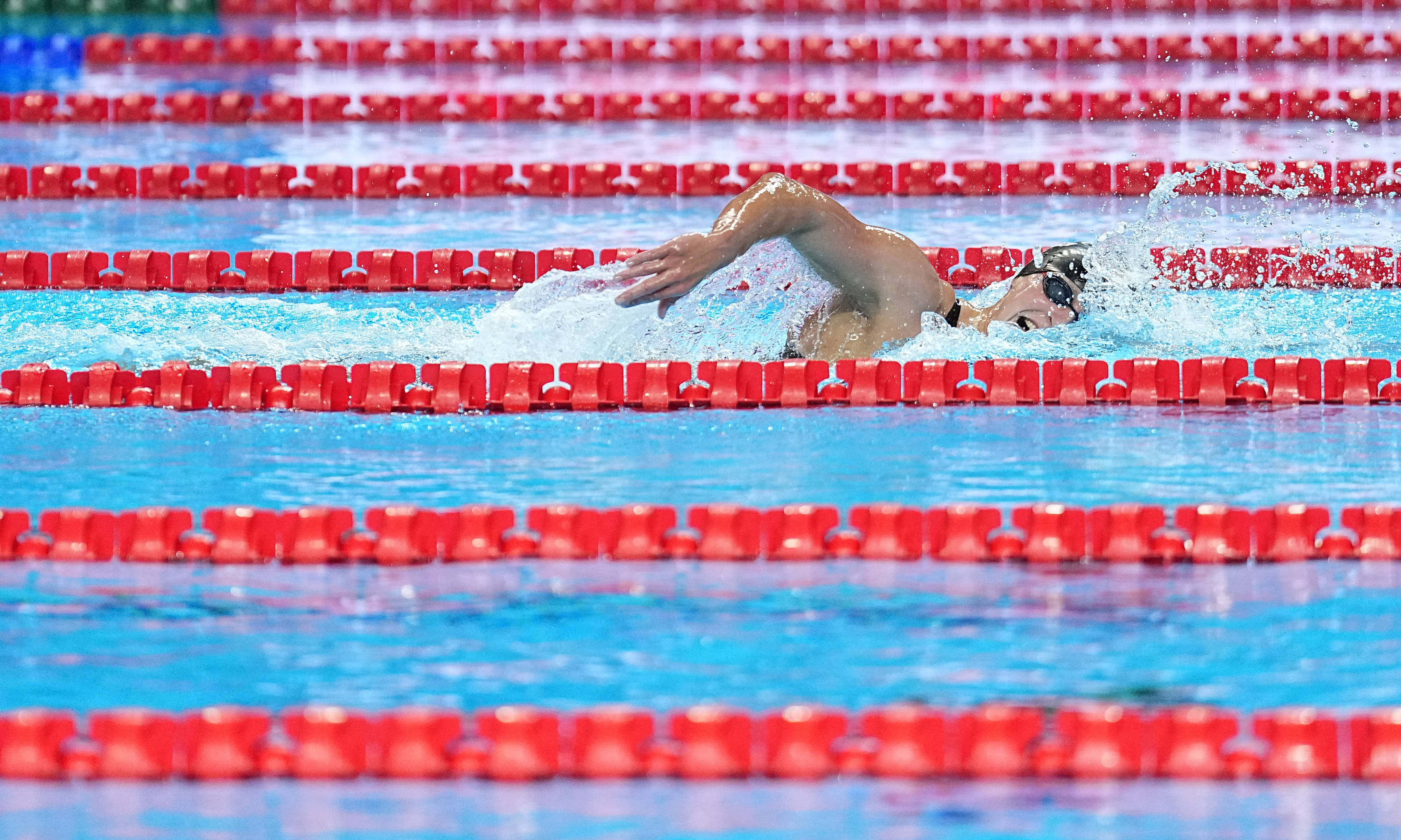 （游泳世锦赛）游泳——女子1500米自由泳决赛赛况