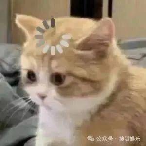 离婚三年又被拍到亲密逛超市<strong></p>
<p>okt</strong>，他俩这是纯带娃还是真复合了？