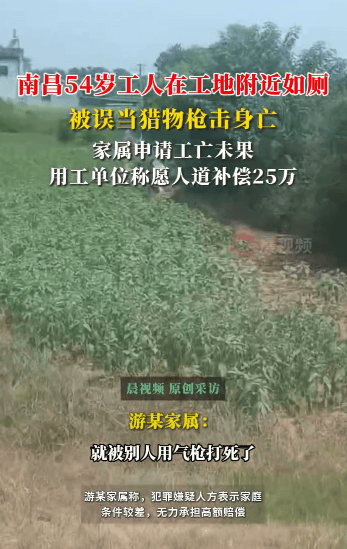 54岁农民工在工地附近如厕被气枪击杀，肇事者自首，用工单位愿补偿25万，家属发声