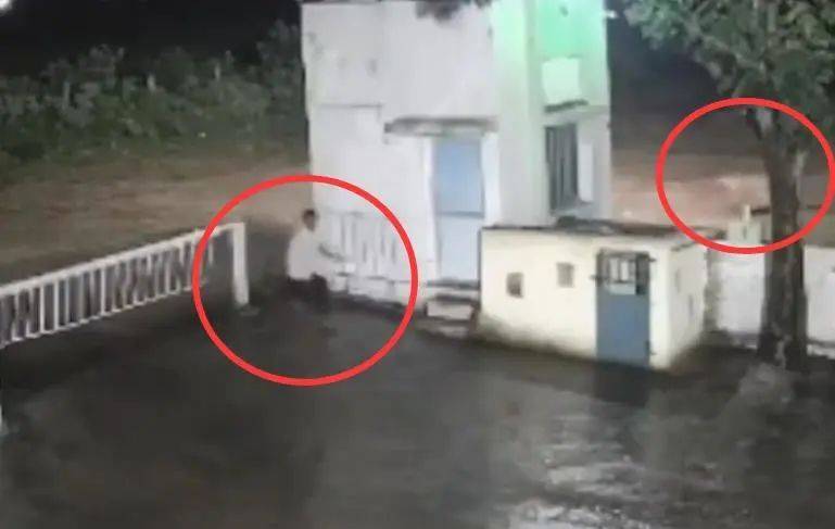 印度一男子后院与狮子相逢<strong></p>
<p>shib币最新价格</strong>，双方都被吓懵，狮子扭身先逃