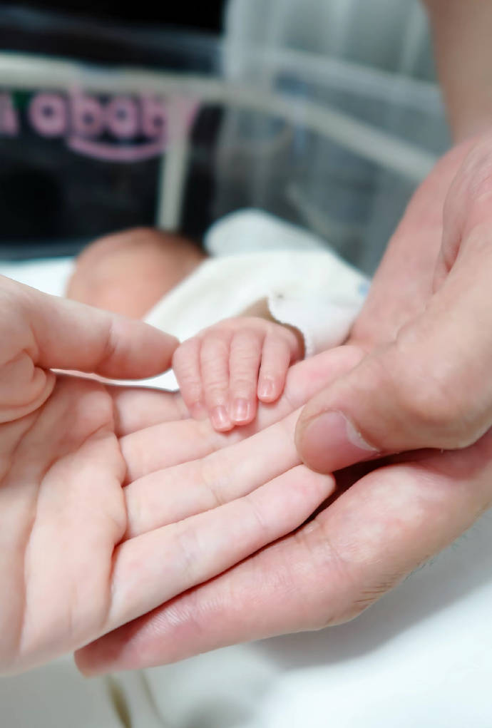 恭喜<strong></p>
<p>shib币最新价格</strong>！邹阳晒照升级当爸爸 妻子是前央视主持人