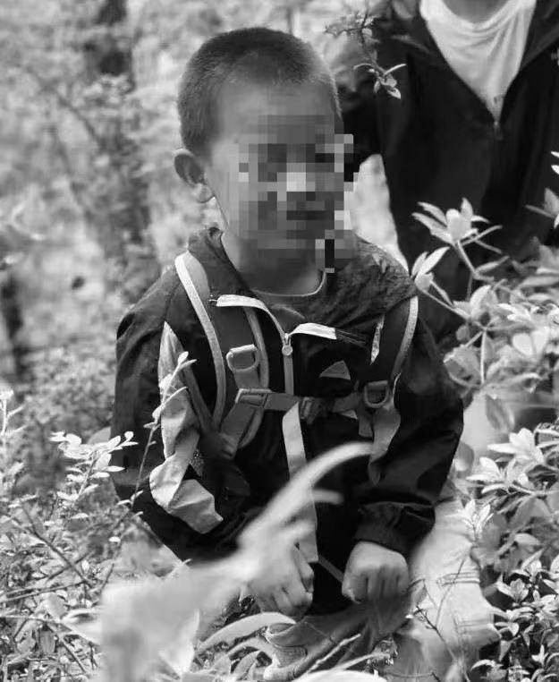 大理苍山走失的8岁自闭症男童已不幸离世<strong></p>
<p>shib行情</strong>，遗体在一处山涧里被发现