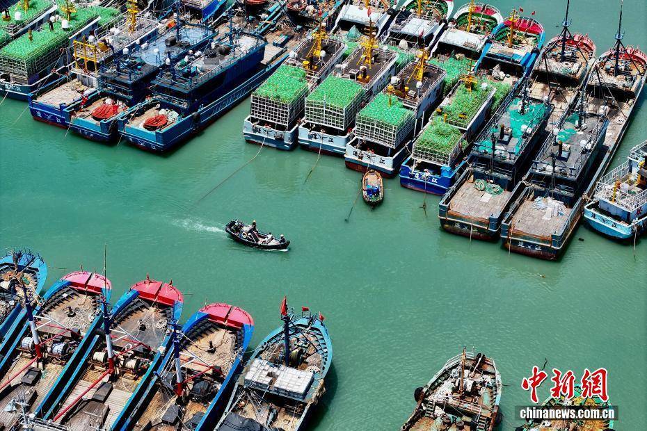 台风“杨柳”逼近 福建连江渔船回港避风