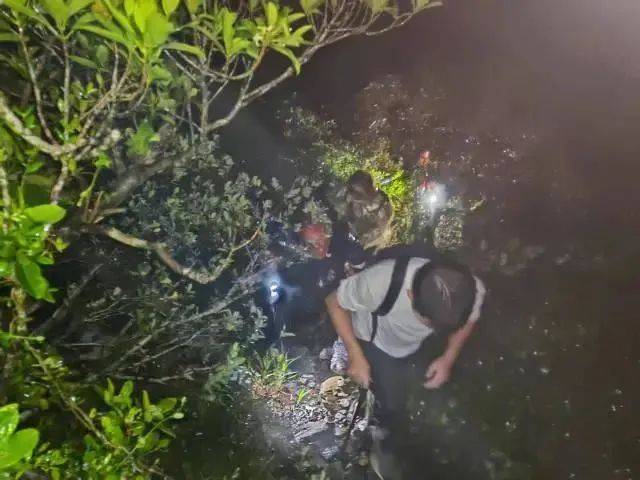 每人罚款5000元<strong></p>
<p>SHIB币</strong>！深圳开出全国首张罚单