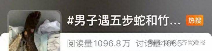 安徽宣城一男子走路玩手机<strong></p>
<p>shib币最新消息</strong>，一脚踩中打架的竹叶青和五步蛇，被俩毒蛇咬3口！医院：暂无生命危险，正在治疗