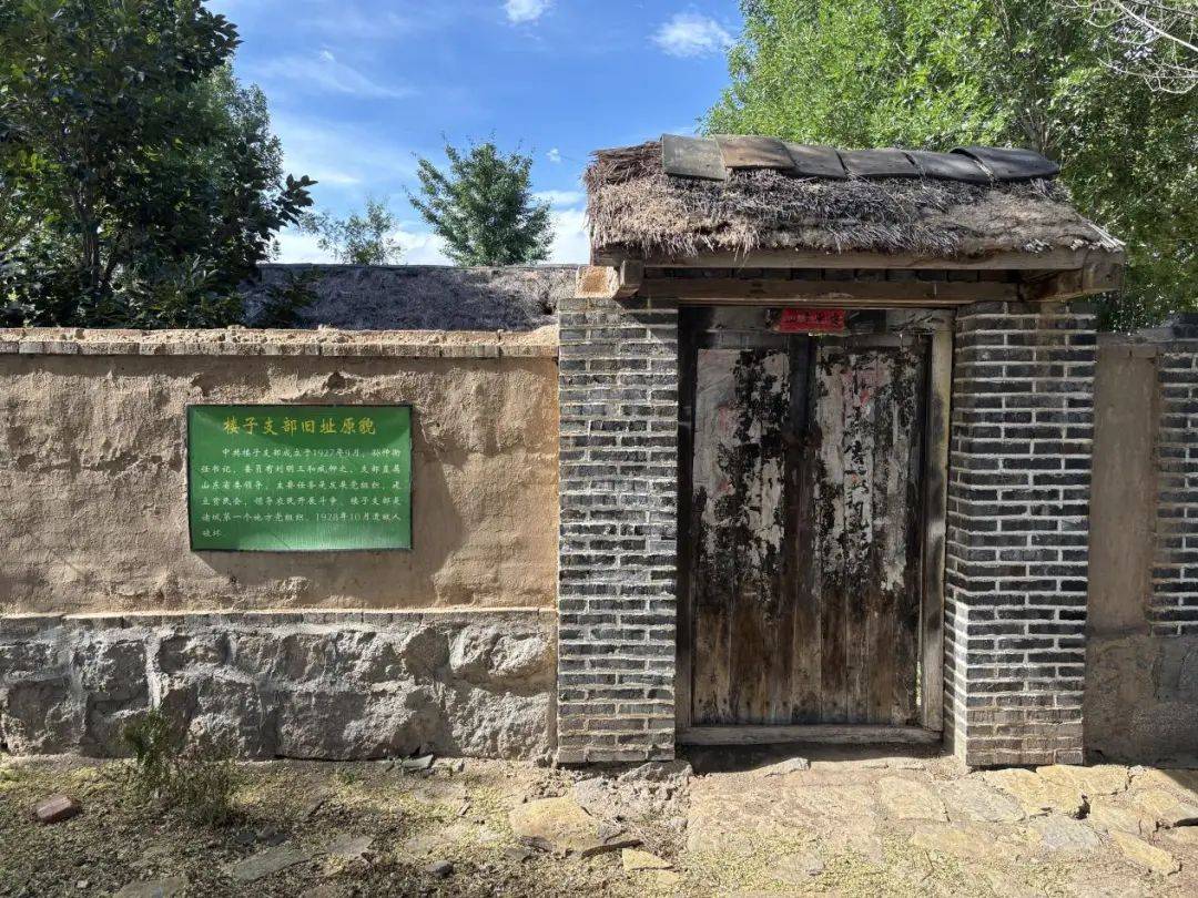 中国海洋大学、山东农业大学学子在诸城→