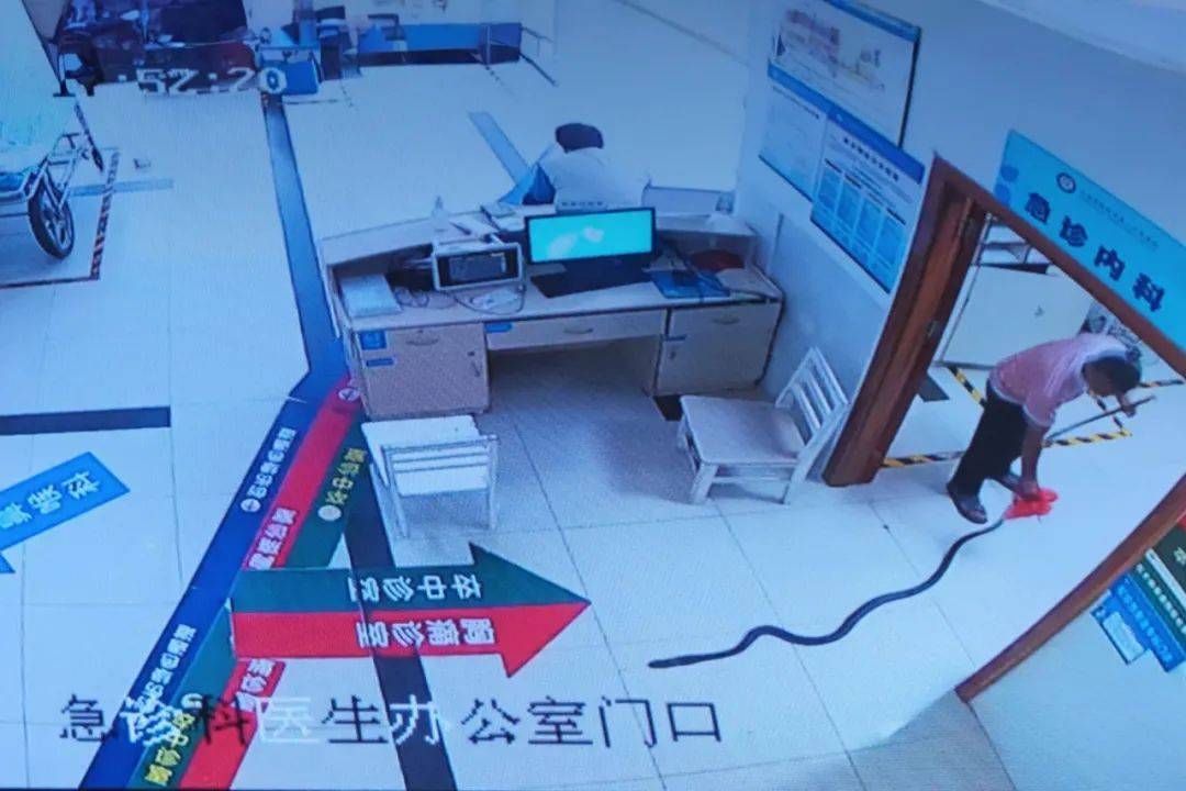 眼镜王蛇咬伤老人<strong></p>
<p>shib币前景</strong>，家属拖两米多长的“凶手”冲进医院！“拎蛇就医”可取吗？