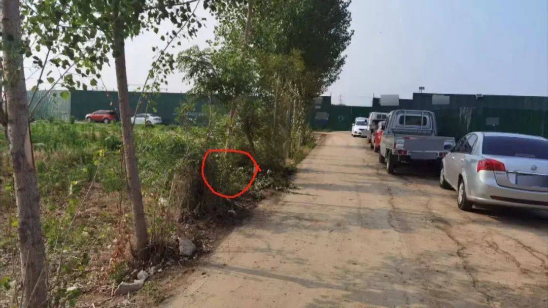 车主已去世<strong></p>
<p>shib币前景</strong>，车却在案发现场徘徊……