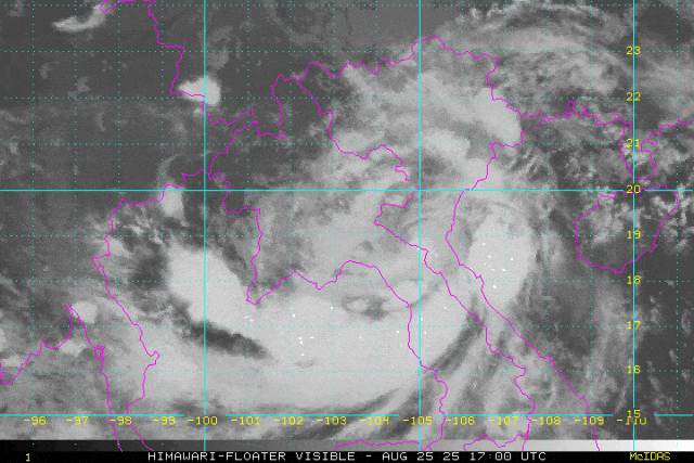 14号台风“蓝湖”或月底登陆广东<strong></p>
<p>shib币前景</strong>！接下来天气……