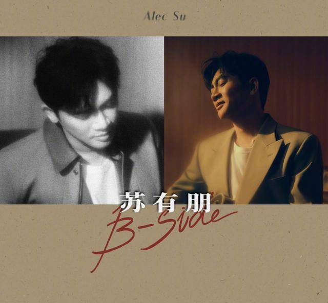 苏有朋音乐会普通票不能合影<strong></p>
<p>tp钱包</strong>，本人回应