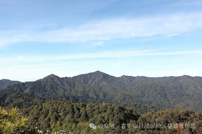 云南哀牢山新规出台:禁止任何单位和个人擅入哀牢山自然保护区<strong></p>
<p>tp钱包官方下载</strong>,从事科研活动须报批