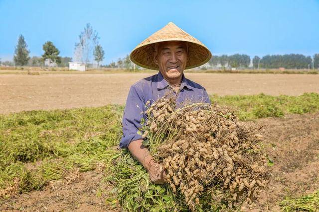 “花生上树”闹剧:AI翻车背后<strong></p>
<p>tp钱包官网下载</strong>,我们都在弄丢常识?