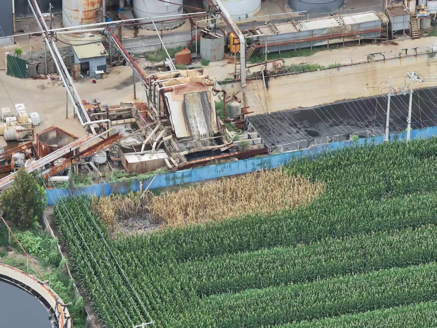 河北柏乡:造纸厂污水外排大片农作物致死引关注<strong></p>
<p>tp钱包安卓版</strong>！