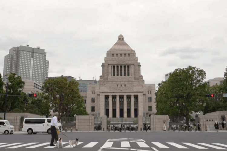 石破茂黯然下台 自民党“双少数”困局谁来破<strong></p>
<p>tp钱包安卓版</strong>?