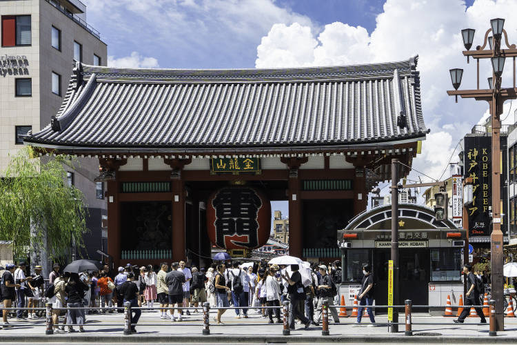 石破茂黯然下台 自民党“双少数”困局谁来破<strong></p>
<p>tp钱包安卓版</strong>?