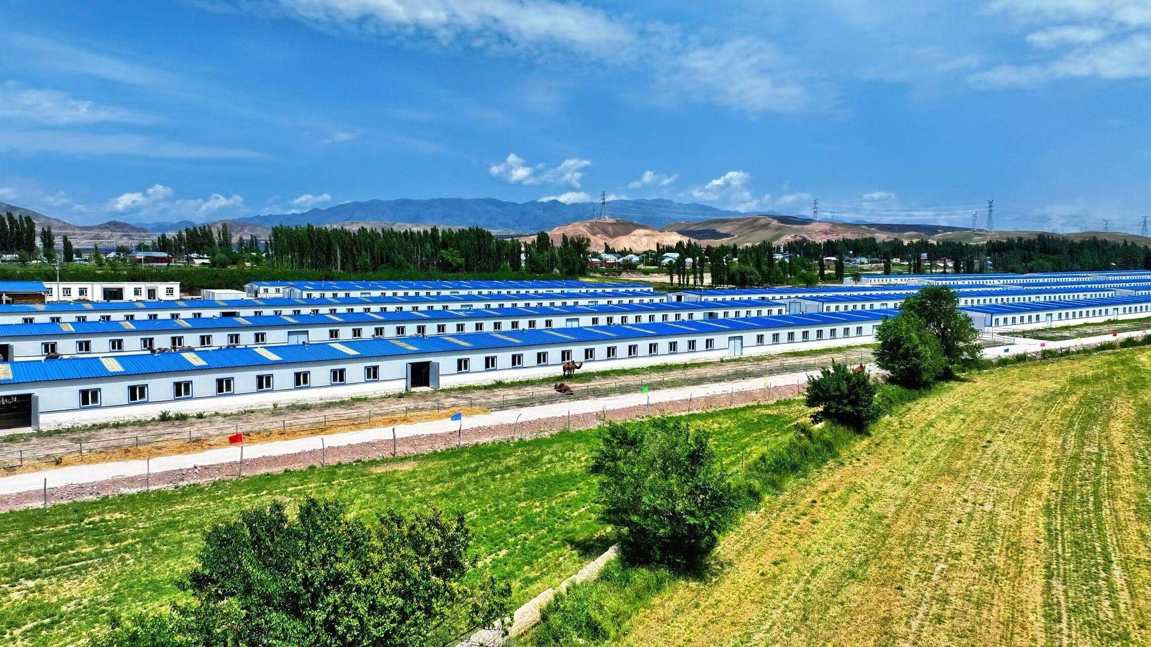 欢迎中国乳制品工业协会领导考察组莅临华垦乳业集团指导工作