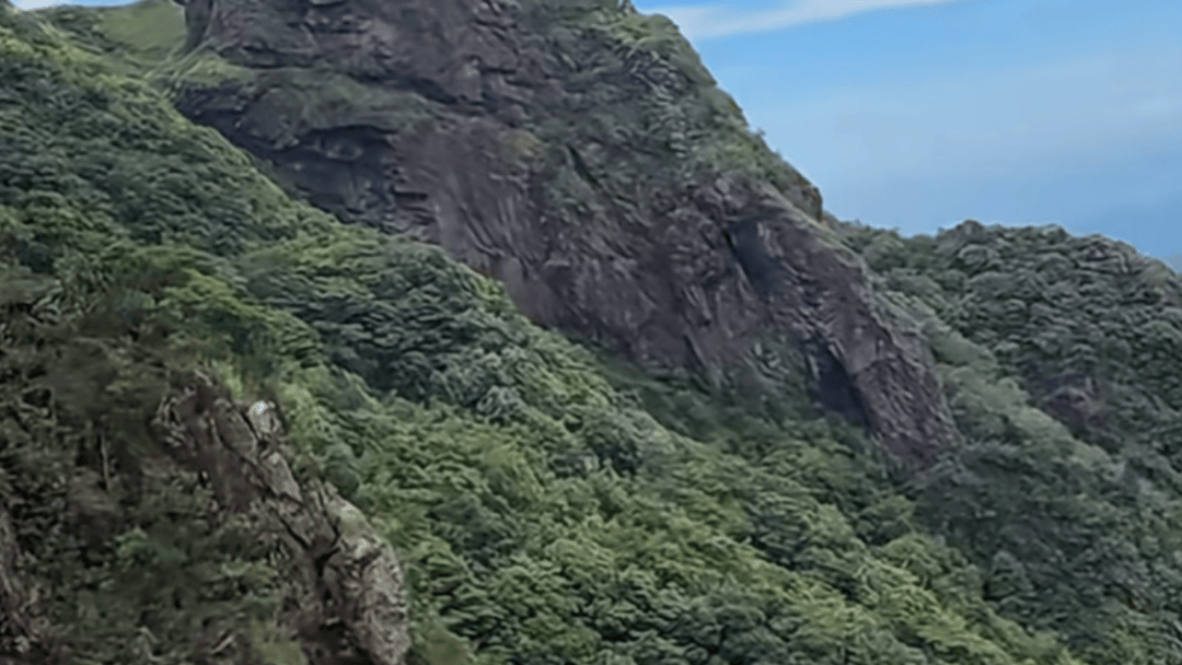 失联5天<strong></p>
<p>tp钱包是正规平台</strong>，遗体被找到！深圳警方初步排除刑事案件