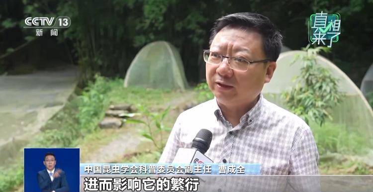 网传萤火虫濒临灭绝<strong></p>
<p>tp钱包安卓版官方下载</strong>，是真的吗？