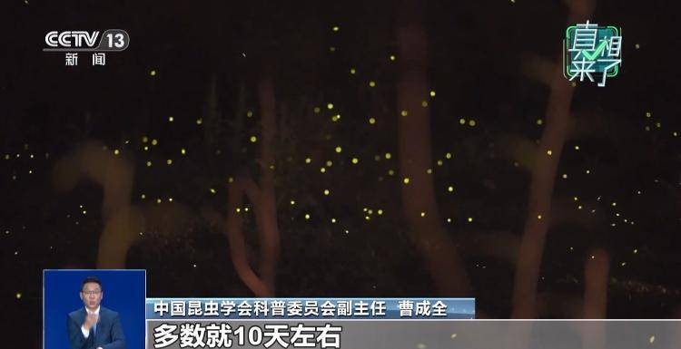 网传萤火虫濒临灭绝<strong></p>
<p>tp钱包安卓版官方下载</strong>，是真的吗？