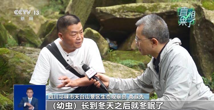 网传萤火虫濒临灭绝<strong></p>
<p>tp钱包安卓版官方下载</strong>，是真的吗？