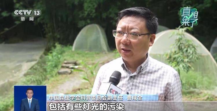 网传萤火虫濒临灭绝<strong></p>
<p>tp钱包安卓版官方下载</strong>，是真的吗？