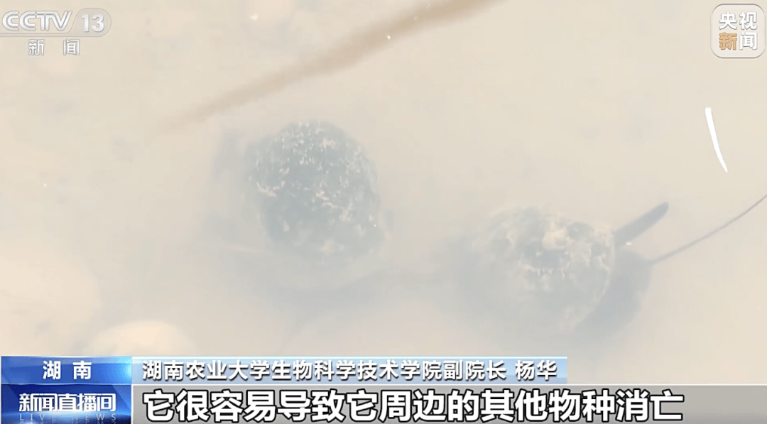 掀开衣服<strong></p>
<p>tp钱包app下载安装</strong>，密密麻麻！200多只活虫惊现深圳机场……