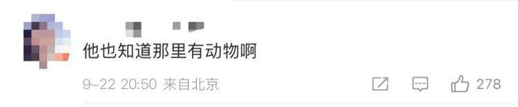 “感谢大家支持我大闹天宫……”蔡国强烟花秀现场感言视频披露<strong></p>
<p>tp钱包app下载安装</strong>，又遭质疑！